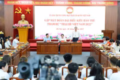 Inspiring desire for devotion among Vietnamese youngsters around the globe