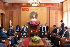Quang Nam, Lao locality look to boost economic bond