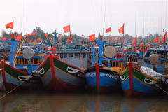 Quang Ngai records improvement in fishermen’s awareness of IUU fishing
