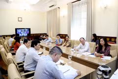 Steering Commitee on overseas citizen protection set up
