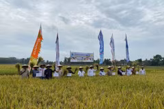 Indonesia prepares strategies to respond to global food crisis