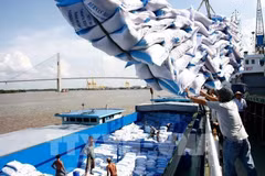 Vietnam’s GDP growth to be among the highest in SE as int’l organisations forecast