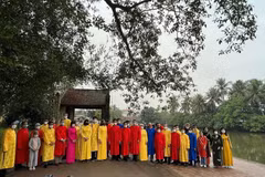 Foreign envoys join lunar New Year experience in Hanoi