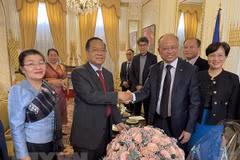 Vietnamese agencies in France congratulate Laos on traditional New Year 