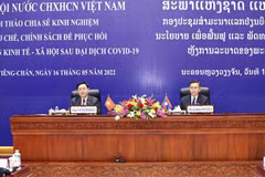 Vietnamese, Lao NAs share experience in designing post-pandemic socio-economic recovery policies