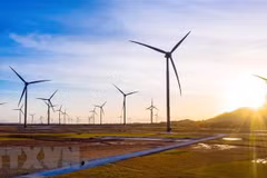 Renewable energy offers investment opportunities in Vietnam