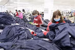 AVPI economist optimistic about Vietnam’s economic prospects for 2022 and beyond