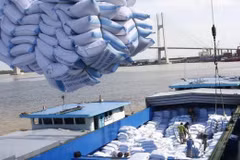 Vietnam’s rice exports to surpass annual target