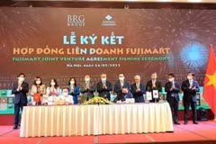 BRG group, Japanese partner to open more FujiMart stores in Vietnam