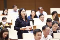 Legislators look into expressway projects