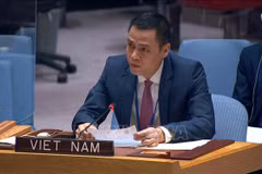 Vietnam always supports UN’s humanitarian efforts: Ambassador