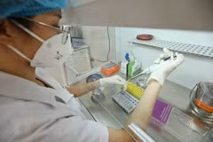 COVID-19: Most Omicron cases in Vietnam show no symptoms