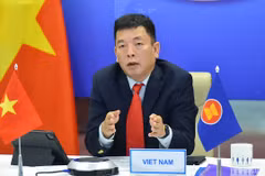 Vietnam attends virtual 29th ASEAN-New Zealand Dialogue