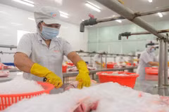 Ukraine conflict, COVID make it double-whammy for Vietnamese businesses