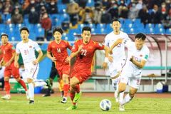 2022 expected to be fruitful year for Vietnamese sports