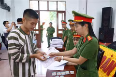Deputy PM attends announcement ceremony of amnesty granting in Vinh Phuc prison