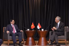 Vietnam, Singapore Prime Ministers agree to promote high-level visits
