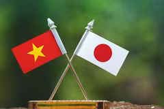 Logo design contest launched for 50th anniversary of Vietnam-Japan diplomatic ties