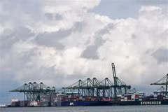 Singapore posts year-on-year growth of 4.8% in Q2