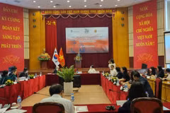 Conference discusses humanities in Vietnam - RoK relations