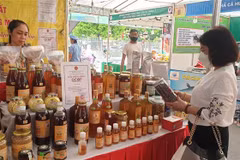 Week of OCOP products launched in Hanoi