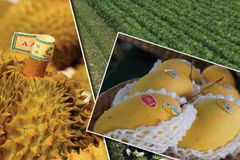 Fruit and vegetable exports likely to reach nearly 5.6 billion USD