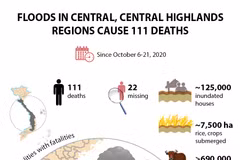 Gallery - Infographics - image 14