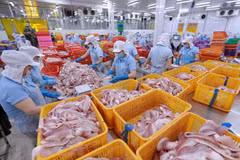 Agro-forestry-fisheries sector posts 22.5% rise in trade surplus