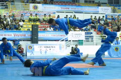 Vietnamese martial art recognised as intangible cultural heritage