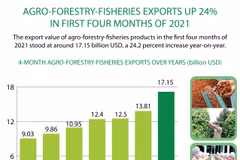 Agro-forestry-fisheries exports up 24% in first four months of 2021