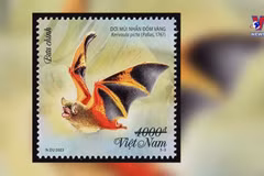 Stamp collection highlights bat preservation
