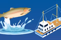Vietnam charts vision for sustainable, modern fisheries by 2050 