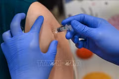 Illustrative image (Photo: VNA)