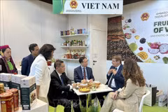 Vietnamese Ambassador to Italy Duong Hai Hung (third from the right) and Vice Chairman of Lang Son province People's Committee Doan Thanh Son (fourth from the right) meet with Chairman of Macfrut Renzo Piraccini (second from the right) (Photo: VNA)