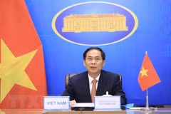 Lao Minister of Foreign Affairs congratulates Vietnamese counterpart