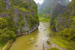 Agritourism brings new sources of income to farmers in Ninh Binh