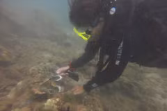First-ever clean-up of coral reefs in Cham Islands