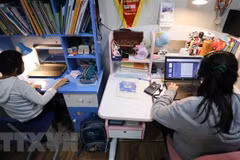Vietnam launches first programme on child protection online
