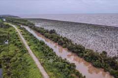 Mekong Delta Resilient Business Network debuts