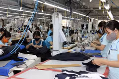 There remains large room for exports to US: Official