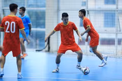 Vietnamese futsal team heads to Spain