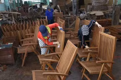 Made-in-Vietnam wooden products conquer US market
