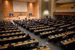 Ambassador affirms Vietnam’s consistent policy on promoting human rights