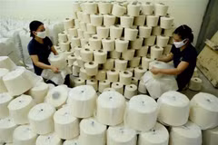Anti-dumping investigation into polyester filament yarn extended