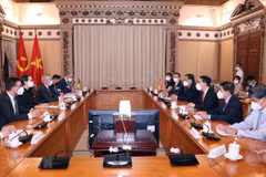 HCM City hopes to receive support from Frankfurt in urban development