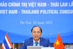 Eight Vietnam-Thailand political consultation held