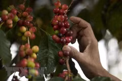 Webinar discusses way to promote Vietnam – Venezuela trade