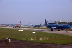 Airlines urged to strengthen maintenance for unused jets: CAAV