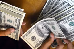 Remittance to Vietnam forecast to continue growing despite pandemic