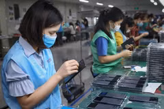 Over 98 percent of financial aid delivered to pandemic-hit workers